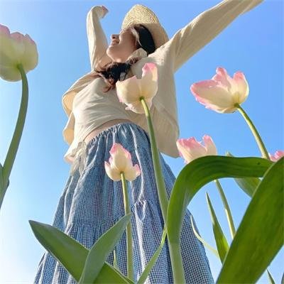 外交秘闻