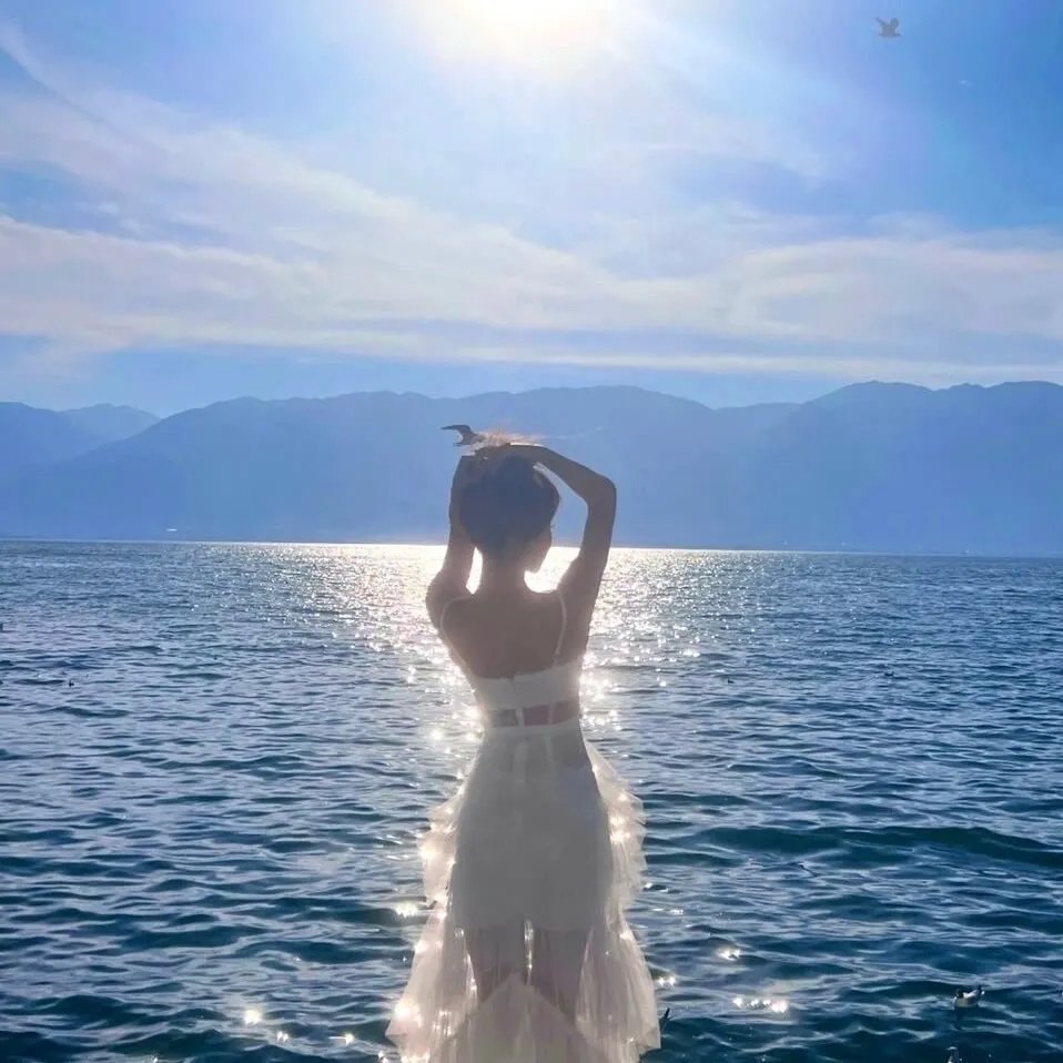 风流总统